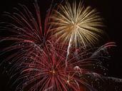 fireworks-spectacle-colorful-572621.jpg