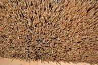 straw-nature-background-rural-580078.jpg