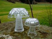 mushroom-glass-mushroom-decoration-516396.jpg