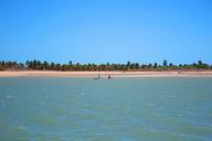 coconut-trees-mar-ceu-beach-sol-669272.jpg