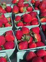 strawberries-market-farmers-food-19648.jpg