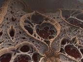 fractal-3d-render-organic-design-676347.jpg