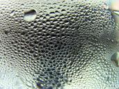 water-drops-water-liquid-830873.jpg