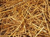 straw-straws-field-nature-609924.jpg