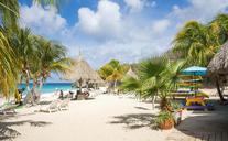 beach-coastline-curacao-sea-ocean-917492.jpg