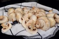 mushroom-mushrooms-frisch-eat-578615.jpg