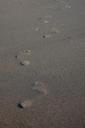 sand-footprint-beach-1645087.jpg