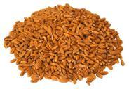 barley-grain-cereals-whole-wheat-74247.jpg