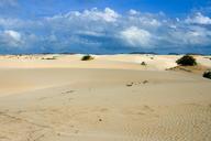 desert-sand-boa-vista-cape-verde-496157.jpg