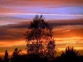 sunset-tree-silhouette-colorful-57007.jpg