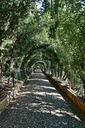 path-greenery-landscape-tranquil-1447487.jpg