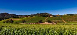 vineyards-napa-valley-california-1590014.jpg