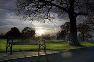 park-bench-golden-hour-sunlight-953290.jpg