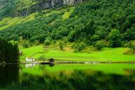 the-fjord-norway-songne-nordic-483188.jpg