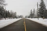 road-winter-snow-cold-travel-633252.jpg