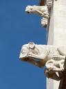 gargoyles-gothic-tarragona-cathedral-1687119.jpg