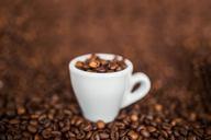 coffee-beans-espresso-cup-cafe-926074.jpg