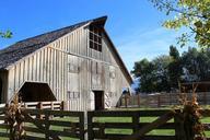 barn-wood-rustic-wooden-weathered-500807.jpg