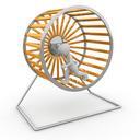 hamster-wheel-impeller-job-district-1014047.jpg