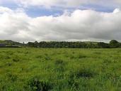 Fields clouds Ireland.jpg