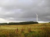 wind-turbine-woods-field-960146.jpg