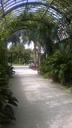 botanical-garden-archway-entrance-695264.jpg