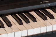 piano-keyboard-music-notes-385467.jpg