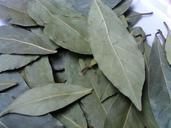 laurel-aromatic-herbs-spices-348288.jpg