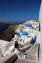 santorini-sea-greece-stairs-home-360215.jpg