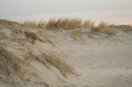 sand-beach-dunes-plant-north-sea-1117186.jpg