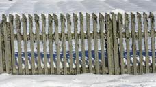 fence-snow-wood-fence-paling-1214348.jpg