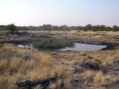 Charca etosha.JPG