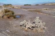 death-valley-california-usa-268404.jpg