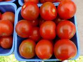 tomatoes-fruit-garden-healthy-65651.jpg