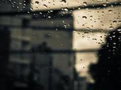 water-droplets-rain-clear-578205.jpg