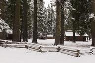 A living sno-globe scene and winter wonderland, created by a sudden mountain blizzard along California Highway 36, south of Lassen Volcanic National Park LCCN2013630922.tif.tiff