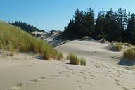 sand-dunes-dunes-national-park-52902.jpg