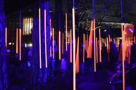 amsterdam-light-festival-art-park-334651.jpg