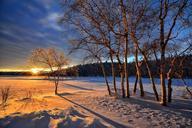 sunset-winter-snow-cold-trees-655625.jpg