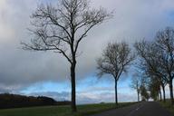 road-trees-autumn-clouds-asphalt-642428.jpg