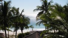 horizon-coconut-trees-mar-ocean-435060.jpg