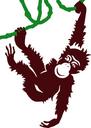 animal-ape-cartoon-hanging-jungle-1292906.svg