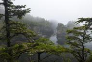 forest-cloud-views-the-scenery-670153.jpg