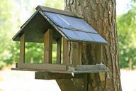 abode-apartment-birch-bird-birdbox-1238444.jpg