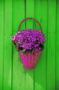 wall-basket-flowers-decoration-616885.jpg