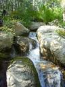 stream-wilderness-water-waterfall-401394.jpg