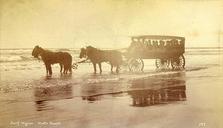 Excursion tour in horse drawn wagon at North Beach on the Washington coast, ca 1892 (LAROCHE 127).jpeg.jpg