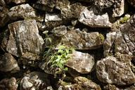 quarry-stone-wall-texture-1378966.jpg