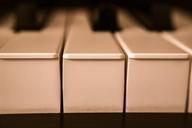 piano-keys-piano-keys-1099499.jpg