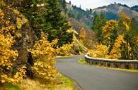 MOSIER_TWIN_TUNNELS_TRAIL_IN_FALL.jpg